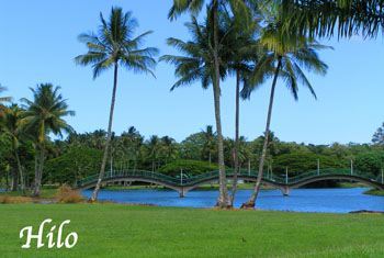 Hilo, HI