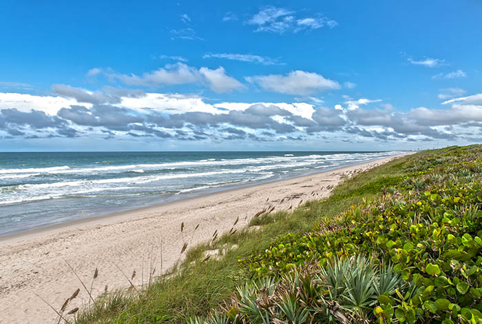 Cape Canaveral Car Rental Locations Dollar